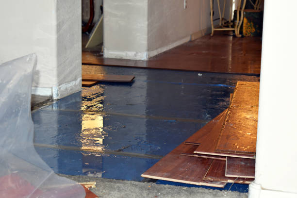 Professional Flood Damage Repair technician working in Inwood, NY
